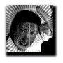 column_twotimes.gif (3900 bytes)