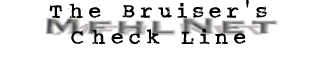 header_bruiser.gif (5397 bytes)